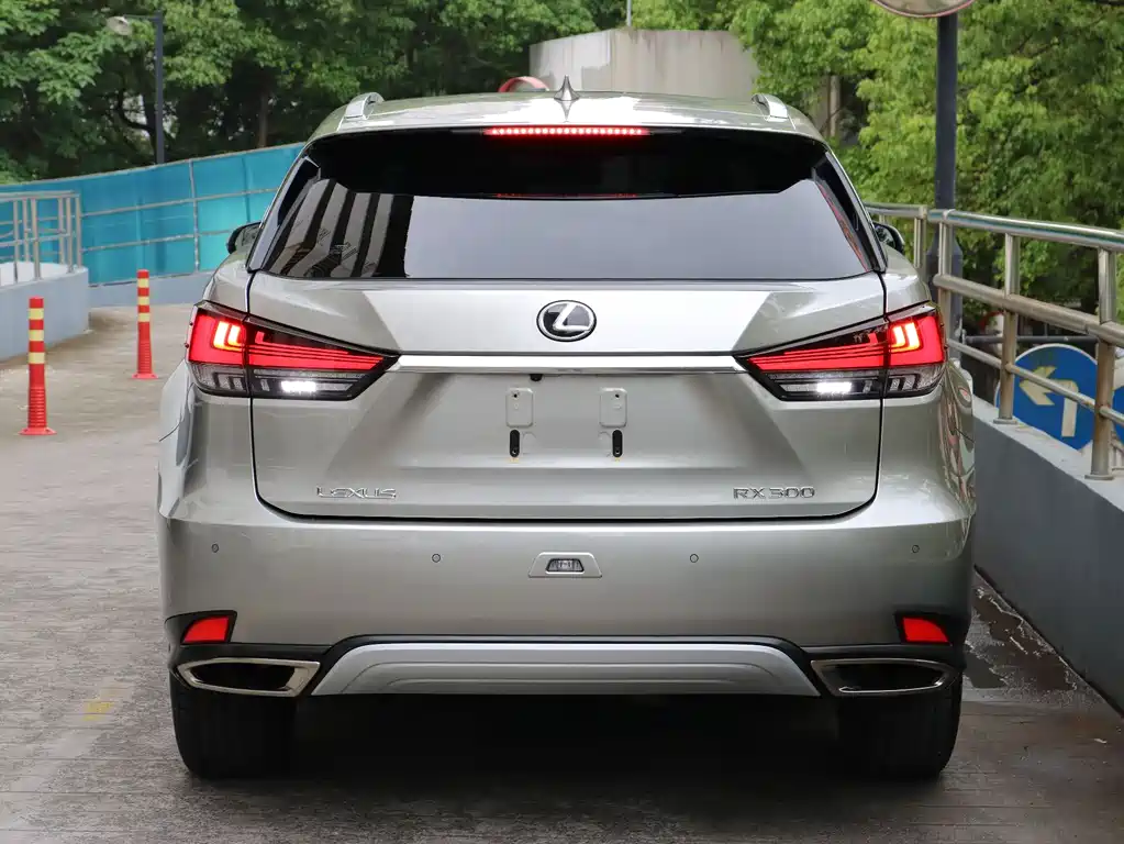 Lexus RX — фото 5