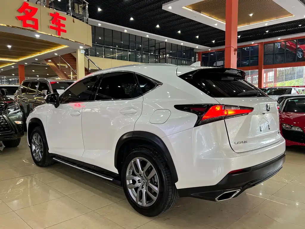 Lexus NX — фото 6