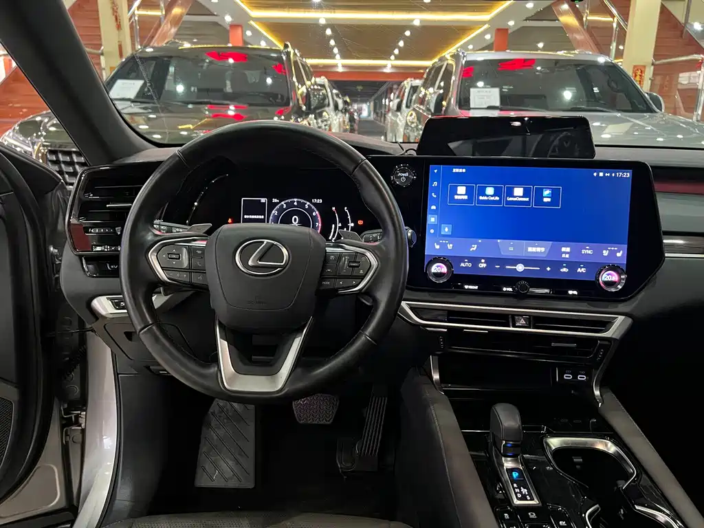 Lexus RX — фото 9