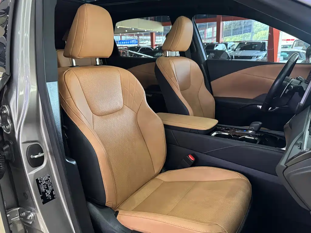 Lexus RX — фото 15