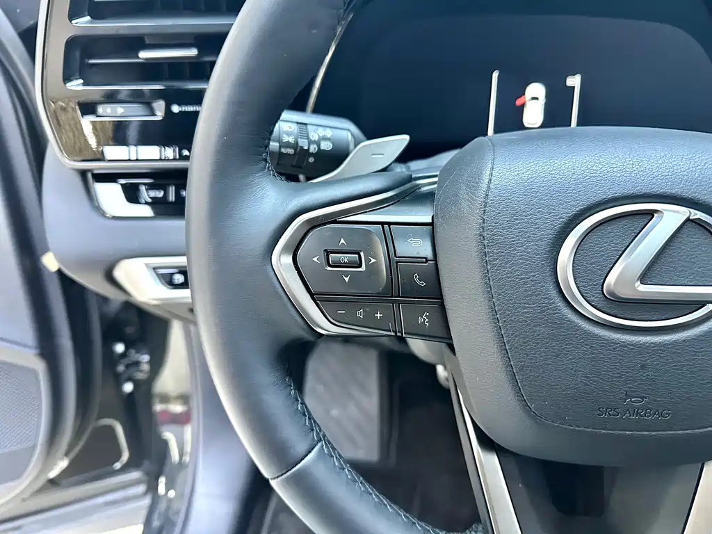 Lexus RX — фото 15
