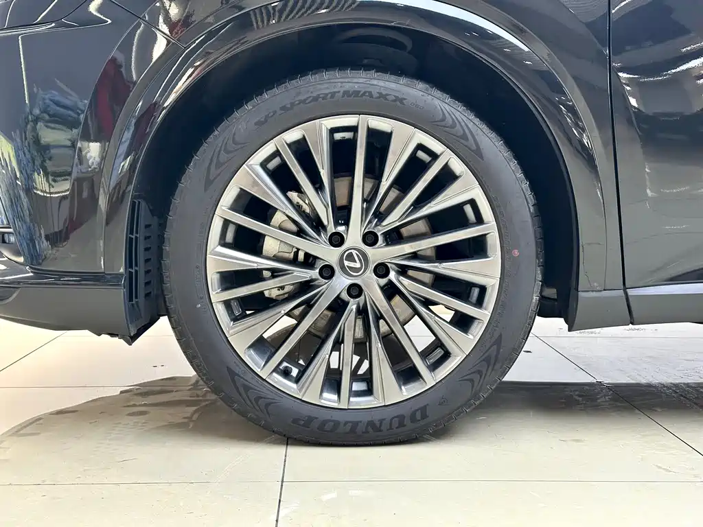Lexus RX — фото 21