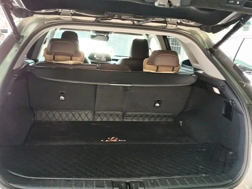 Lexus RX — фото 19