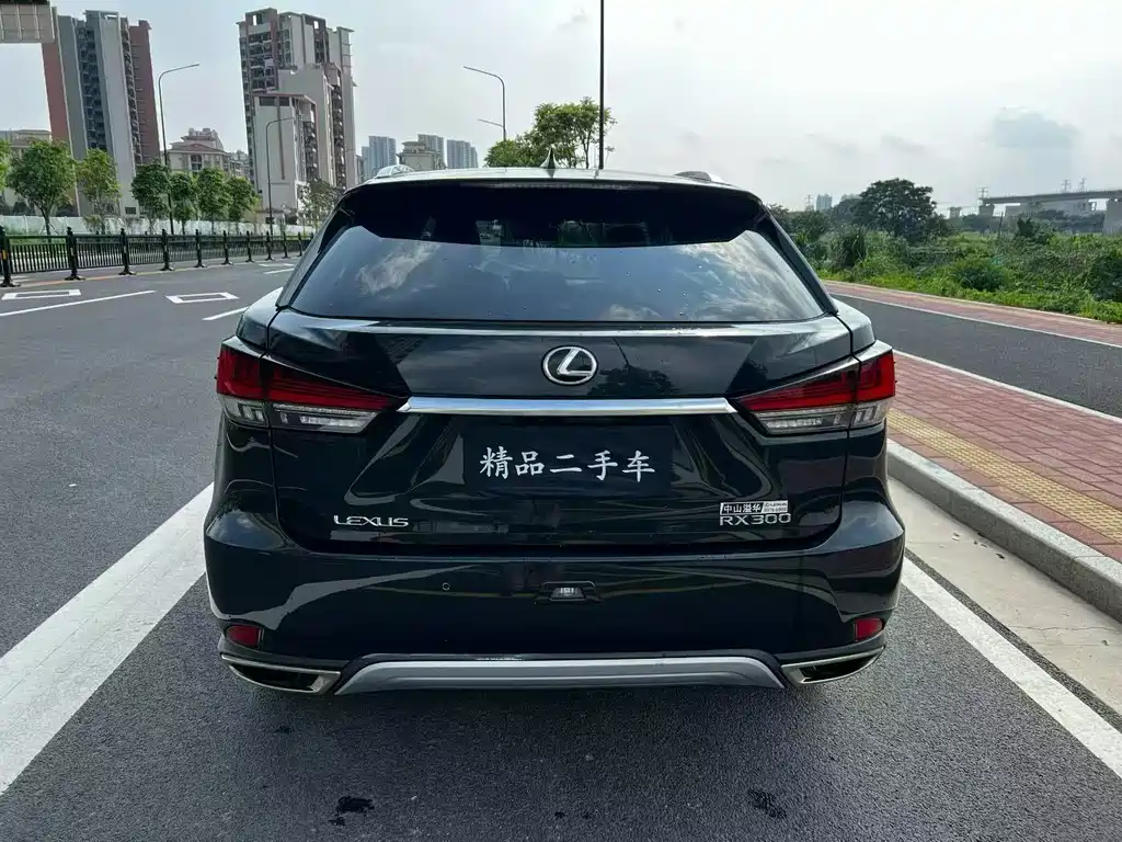 Lexus RX — фото 5