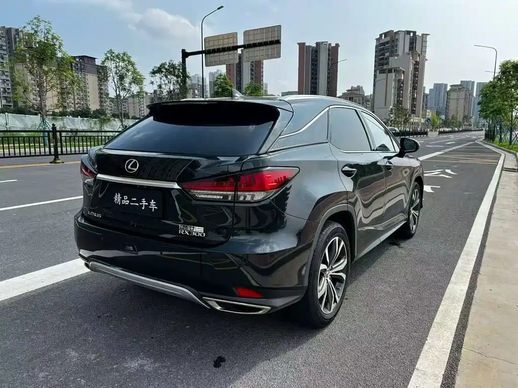 Lexus RX — фото 9