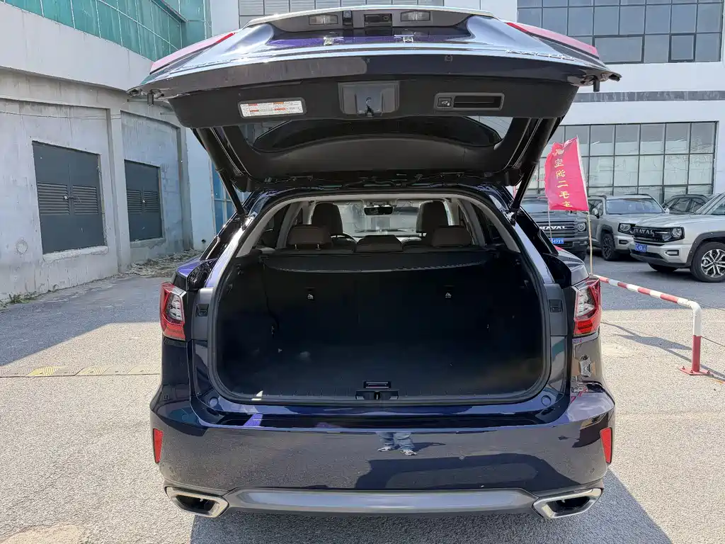 Lexus RX — фото 11