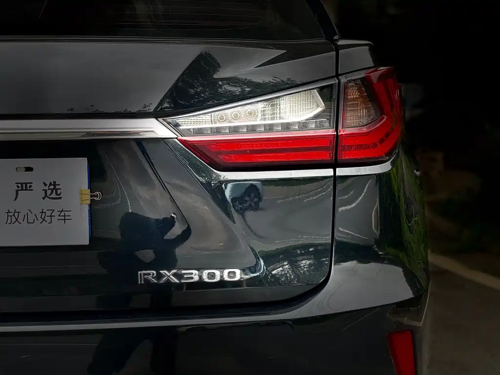 Lexus RX — фото 13