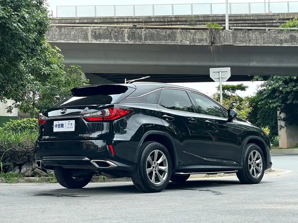 Lexus RX — фото 4
