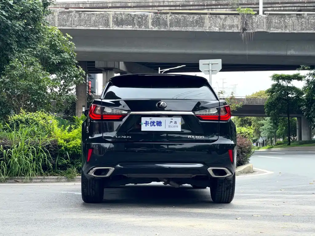 Lexus RX — фото 5