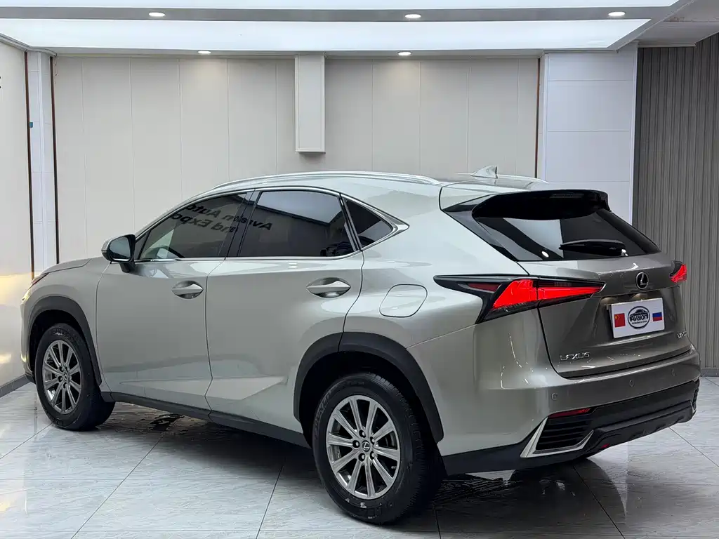 Lexus NX — фото 6