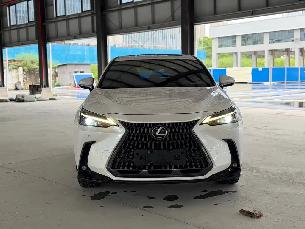 Lexus NX New Energy — фото 2