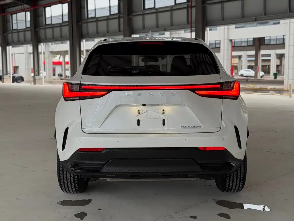 Lexus NX New Energy — фото 11
