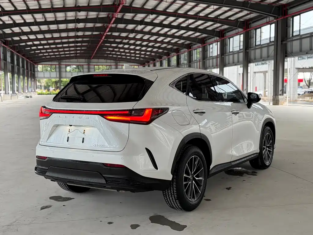Lexus NX New Energy — фото 14
