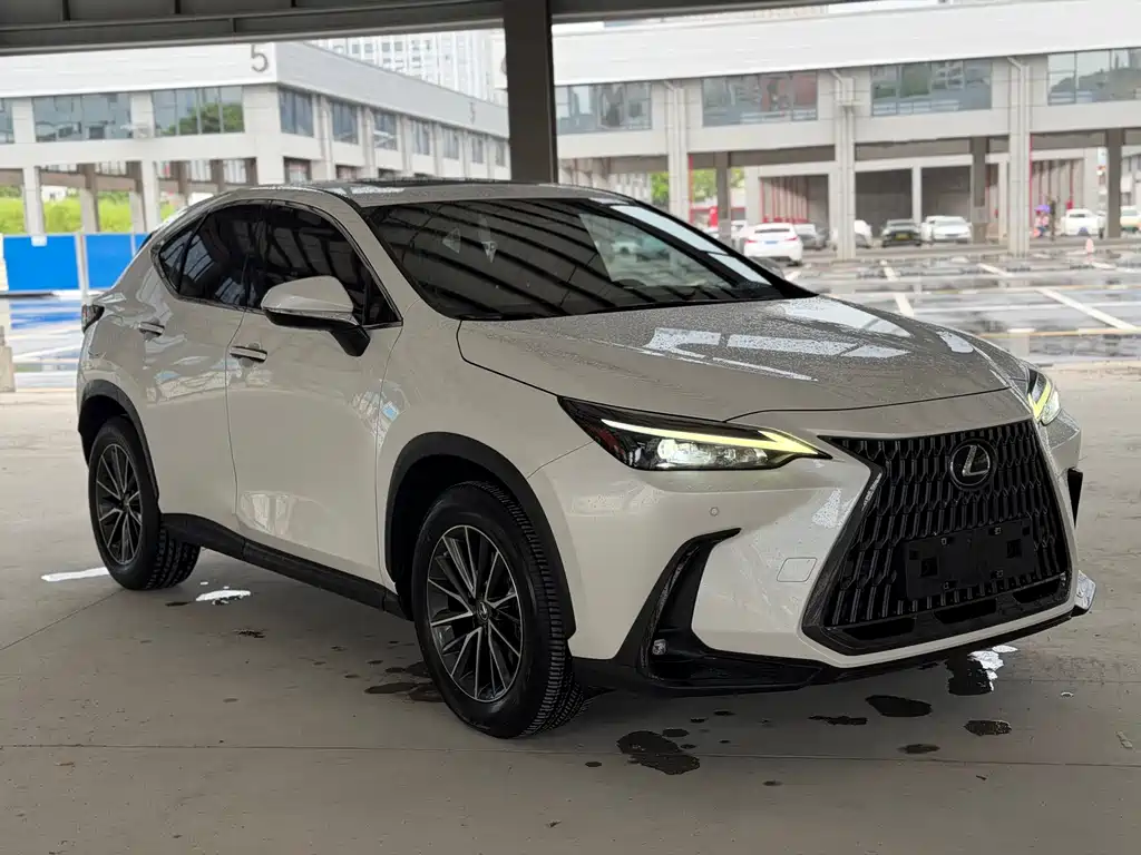 Lexus NX New Energy — фото 3