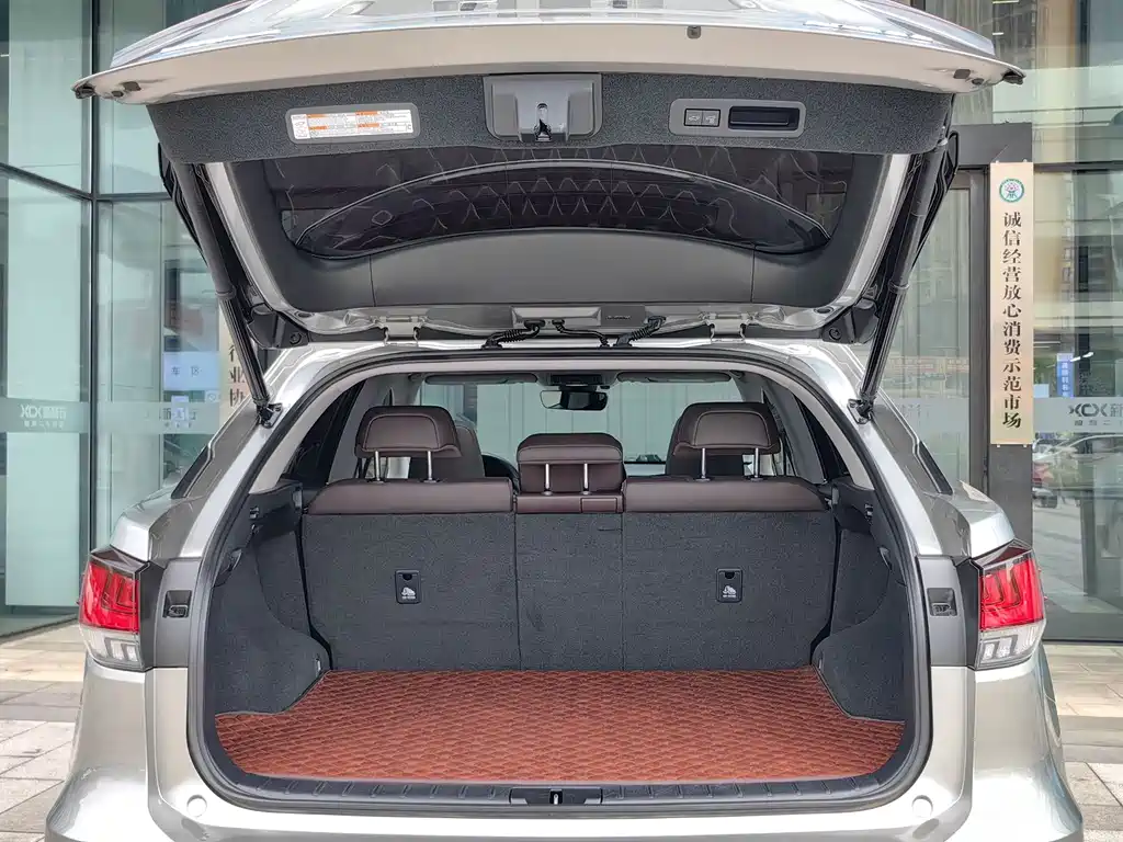 Lexus RX — фото 21