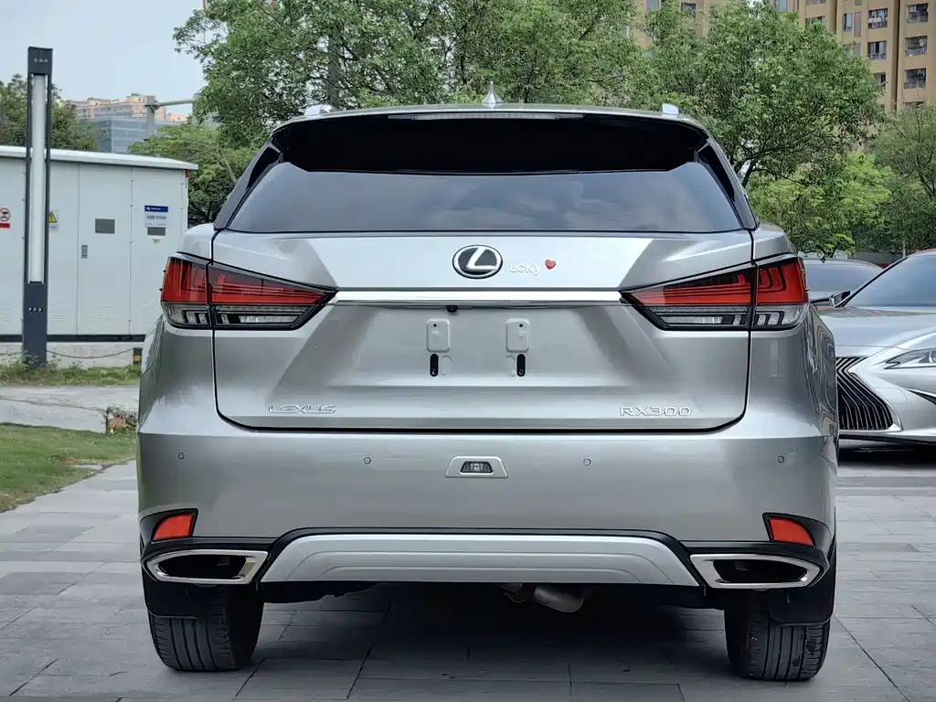Lexus RX — фото 5