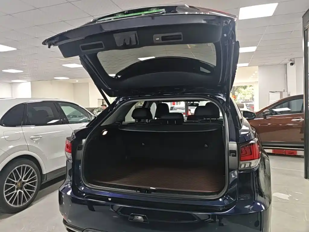 Lexus RX — фото 19