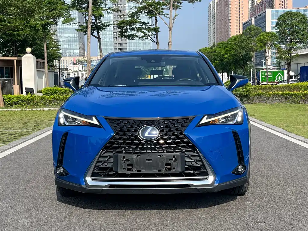 Lexus UX New Energy — фото 4