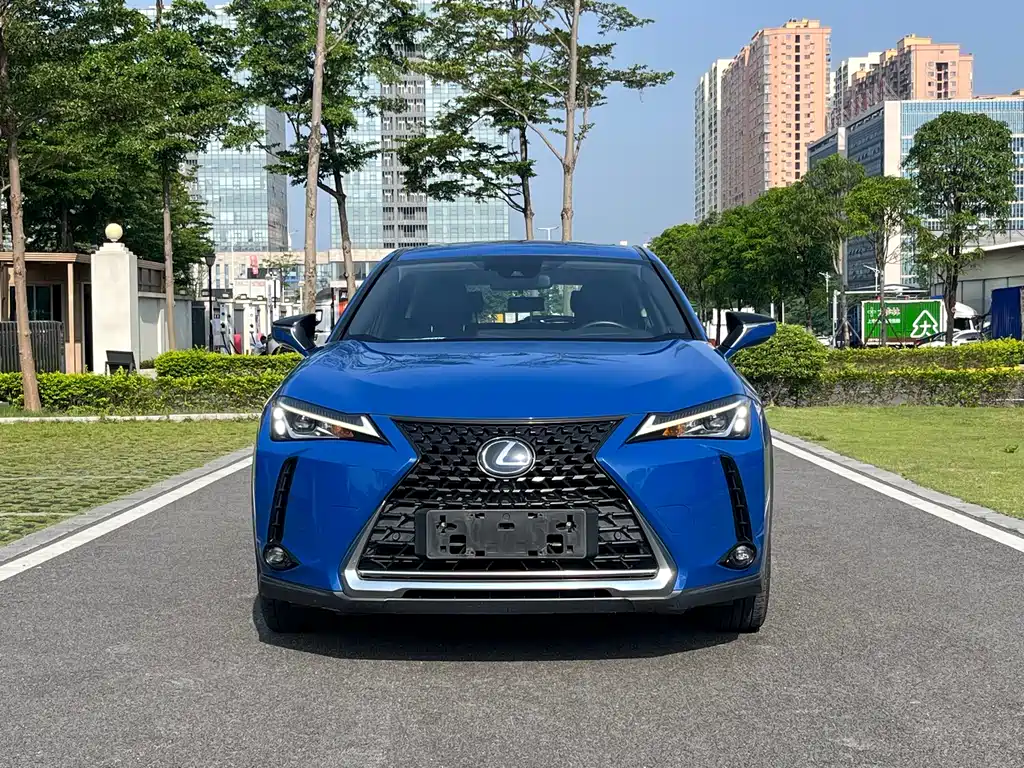Lexus UX New Energy — фото 5