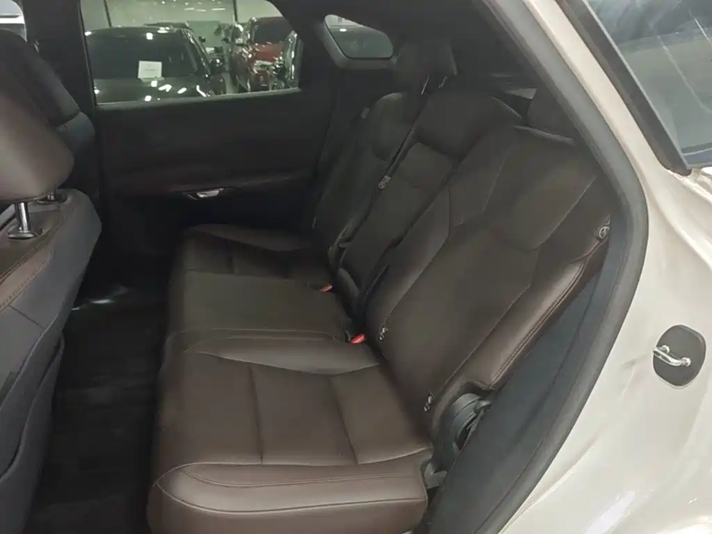 Lexus RX — фото 13