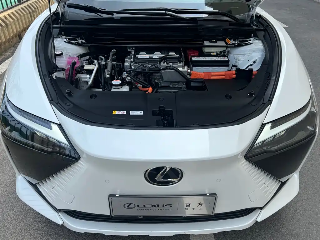 Lexus RZ — фото 2