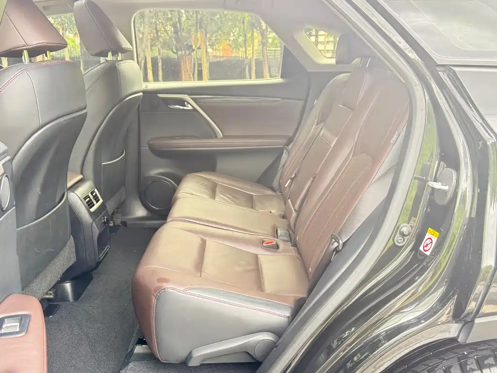 Lexus RX — фото 14