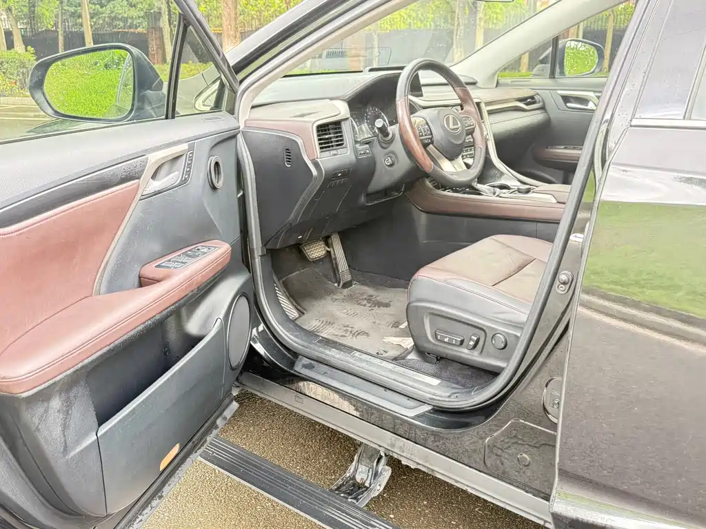 Lexus RX — фото 15