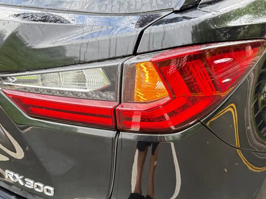Lexus RX — фото 22