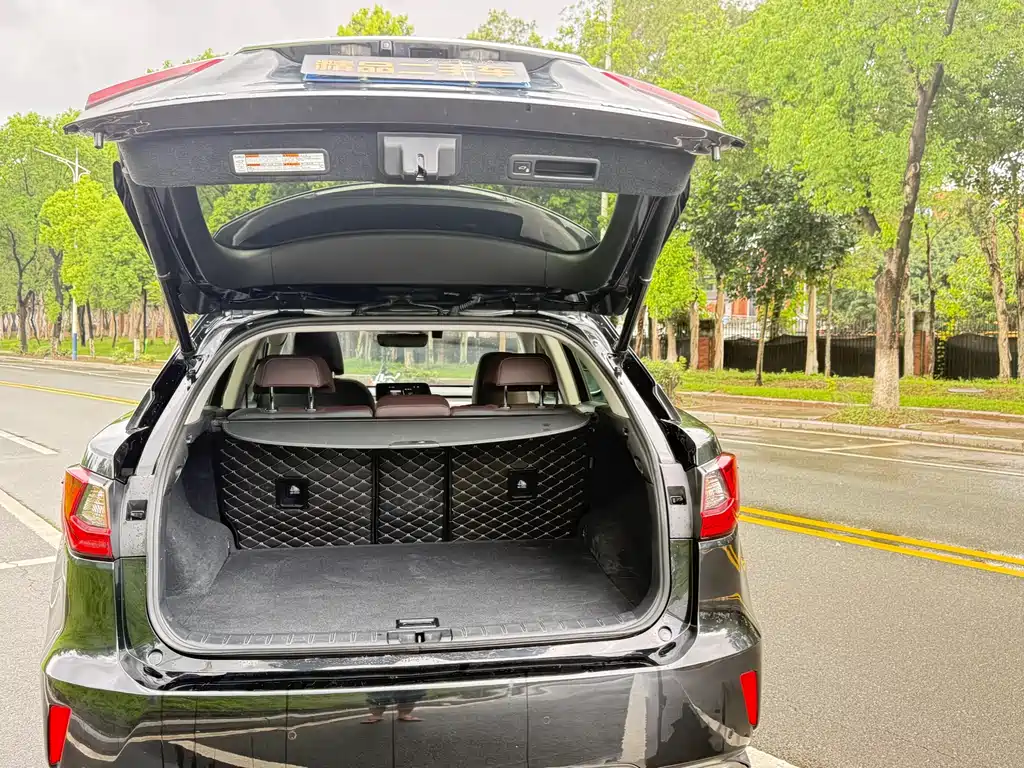 Lexus RX — фото 29