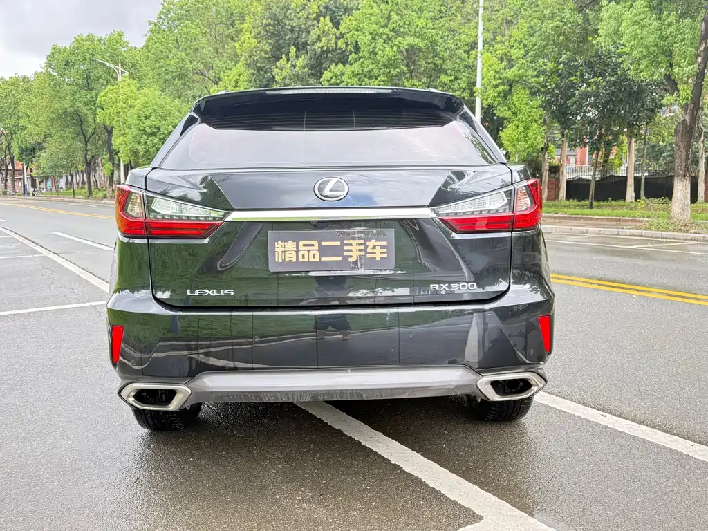 Lexus RX — фото 4