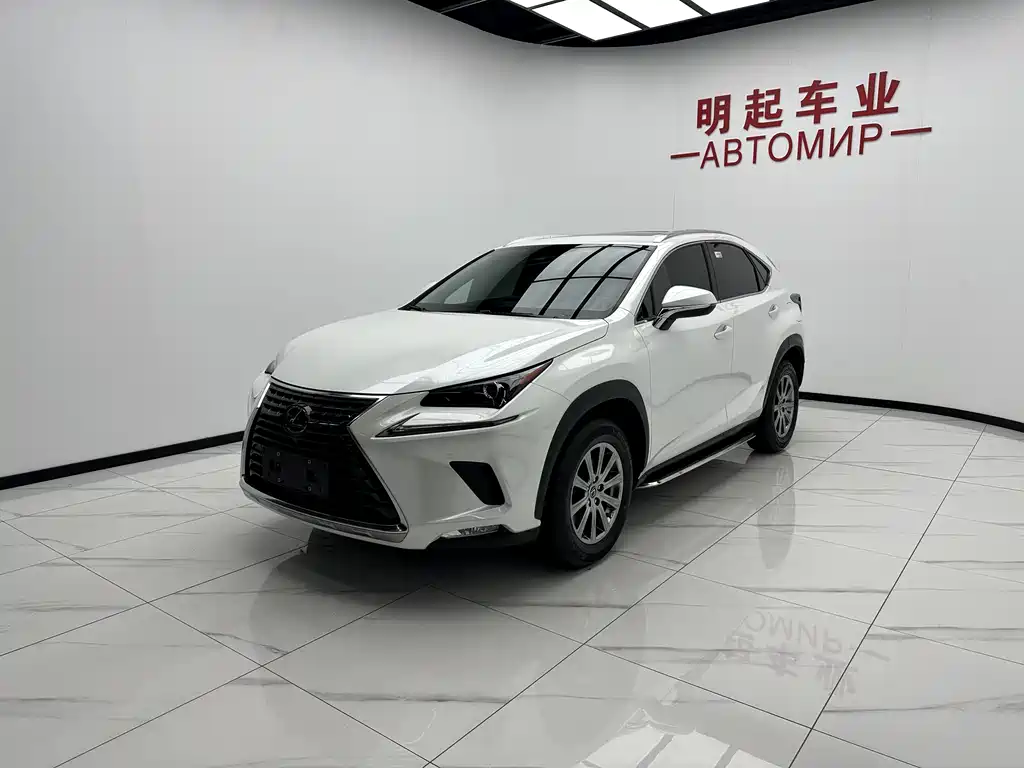Lexus NX — фото 4