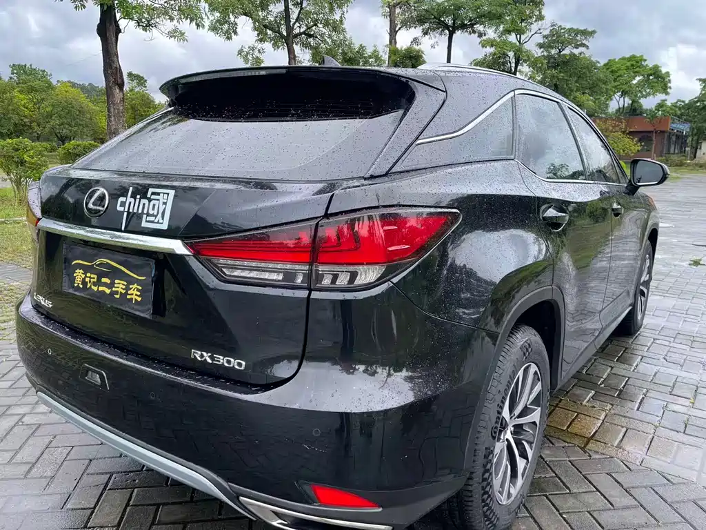 Lexus RX — фото 11