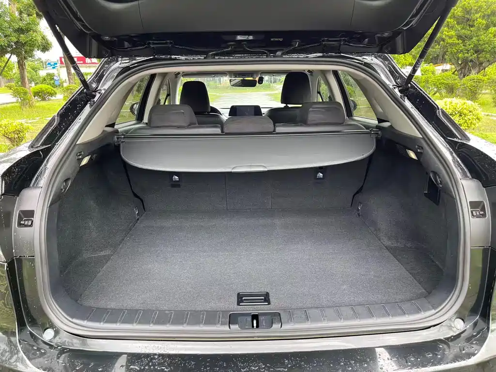 Lexus RX — фото 13