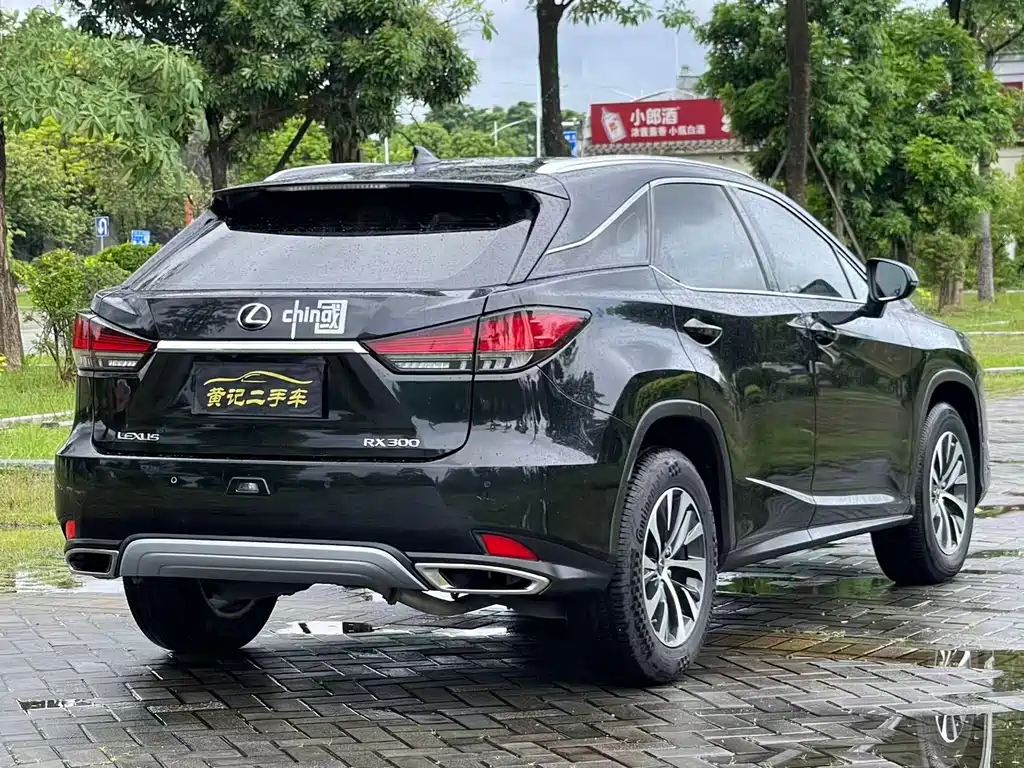 Lexus RX — фото 5