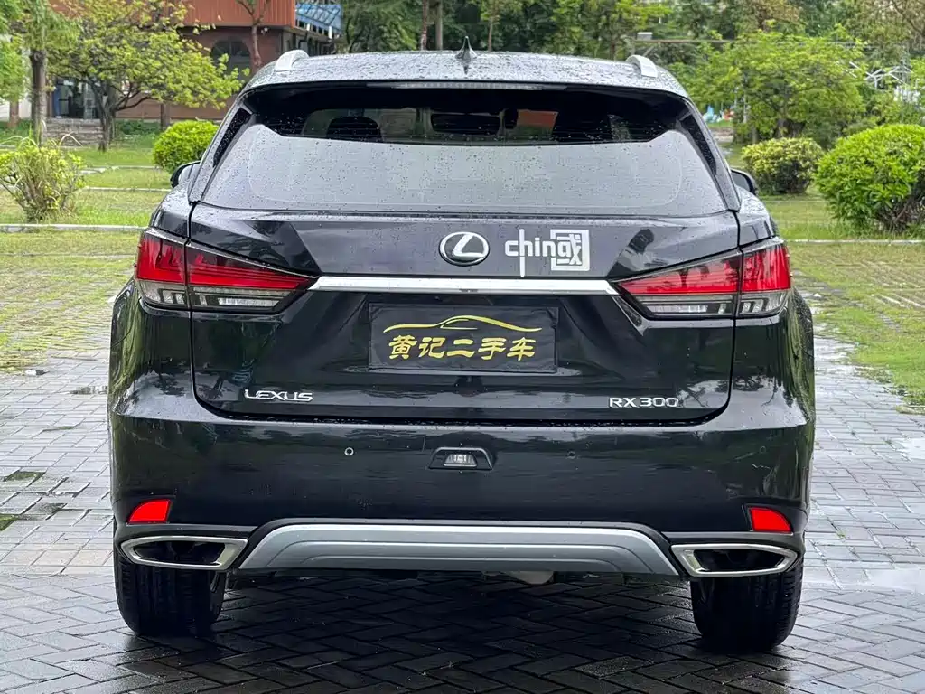 Lexus RX — фото 6