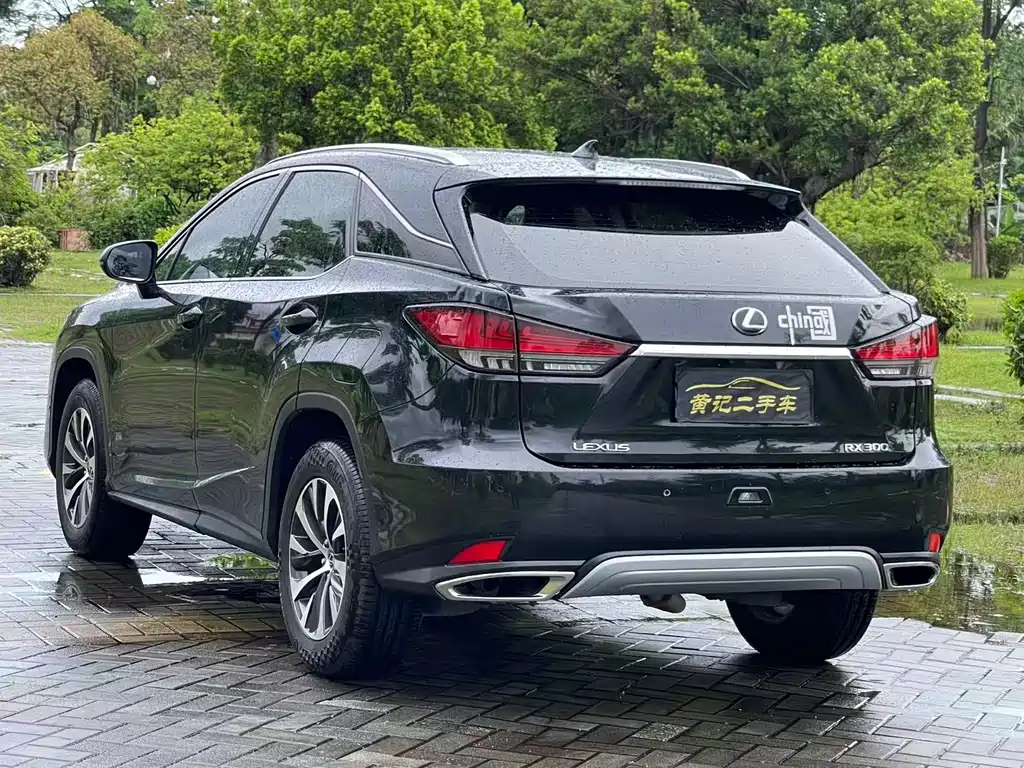 Lexus RX — фото 7