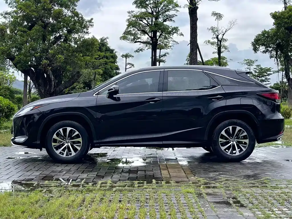Lexus RX — фото 8