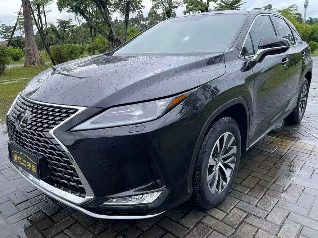 Lexus RX — фото 9
