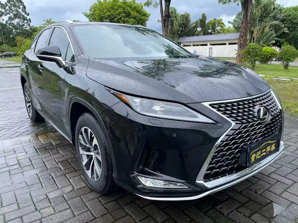 Lexus RX — фото 10