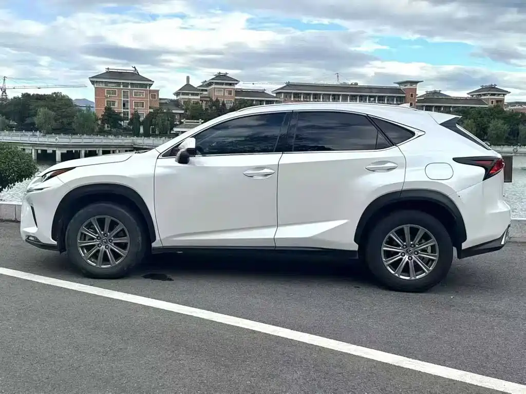 Lexus NX — фото 6