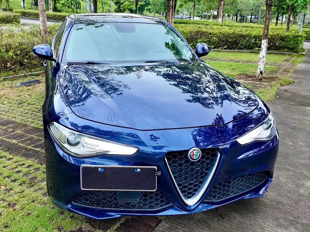Alfa Romeo Giulia — фото 15