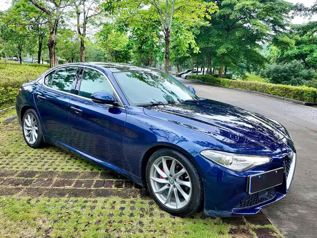 Alfa Romeo Giulia — фото 17