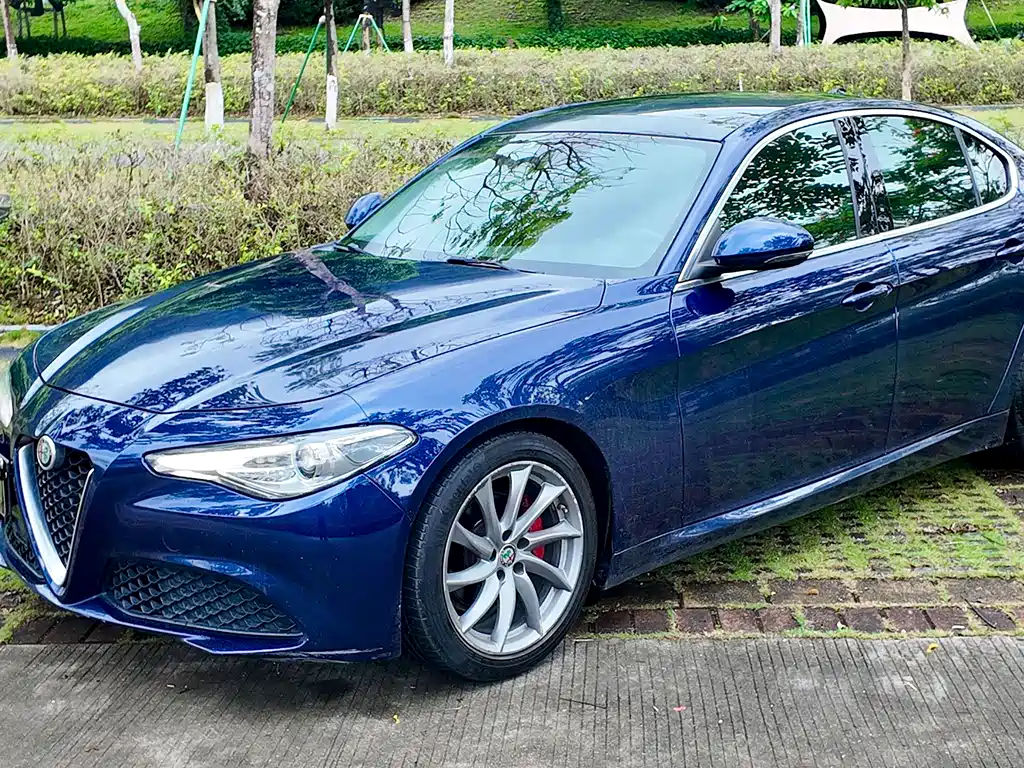 Alfa Romeo Giulia — фото 58