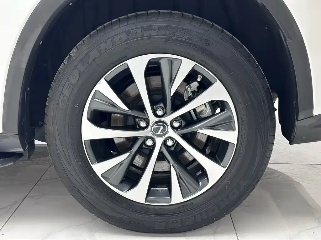 Lexus RX — фото 14