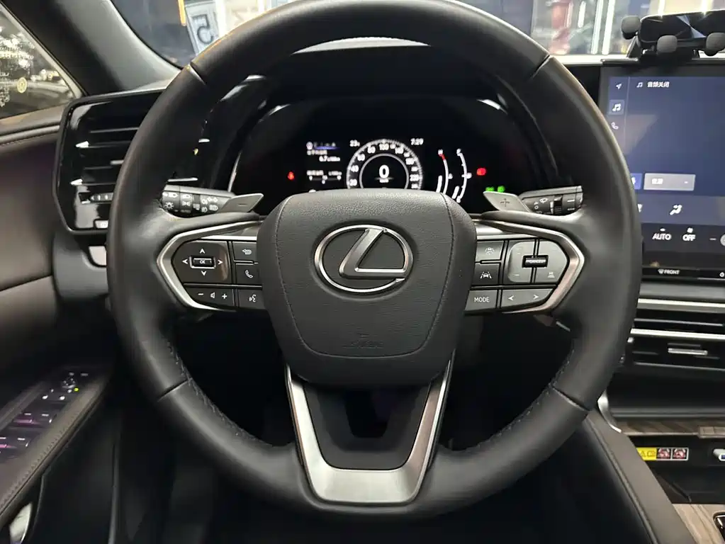 Lexus RX — фото 14