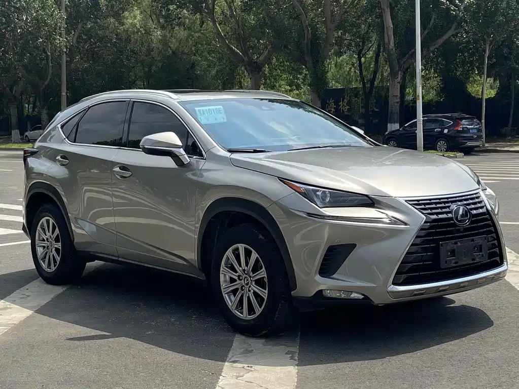 Lexus NX — фото 2