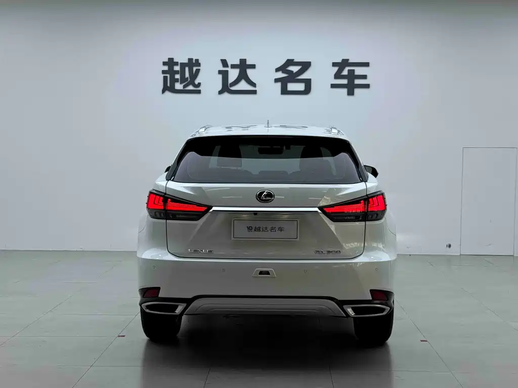 Lexus RX — фото 20