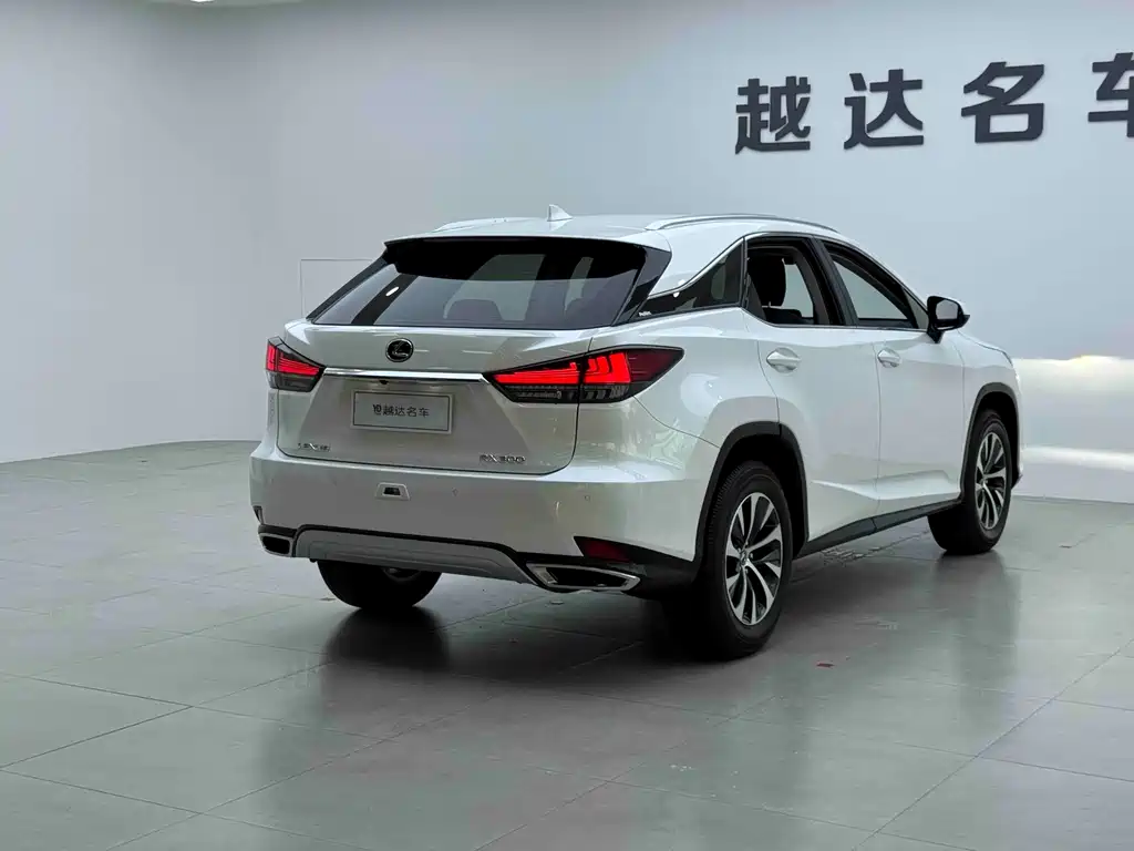Lexus RX — фото 21