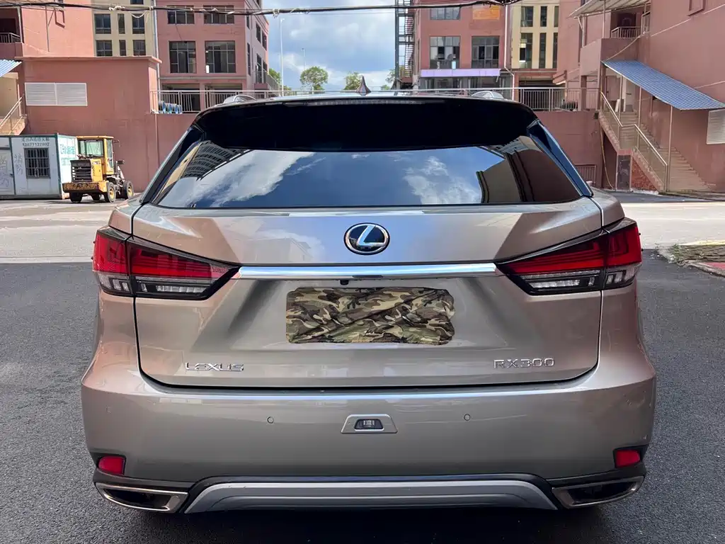 Lexus RX — фото 5
