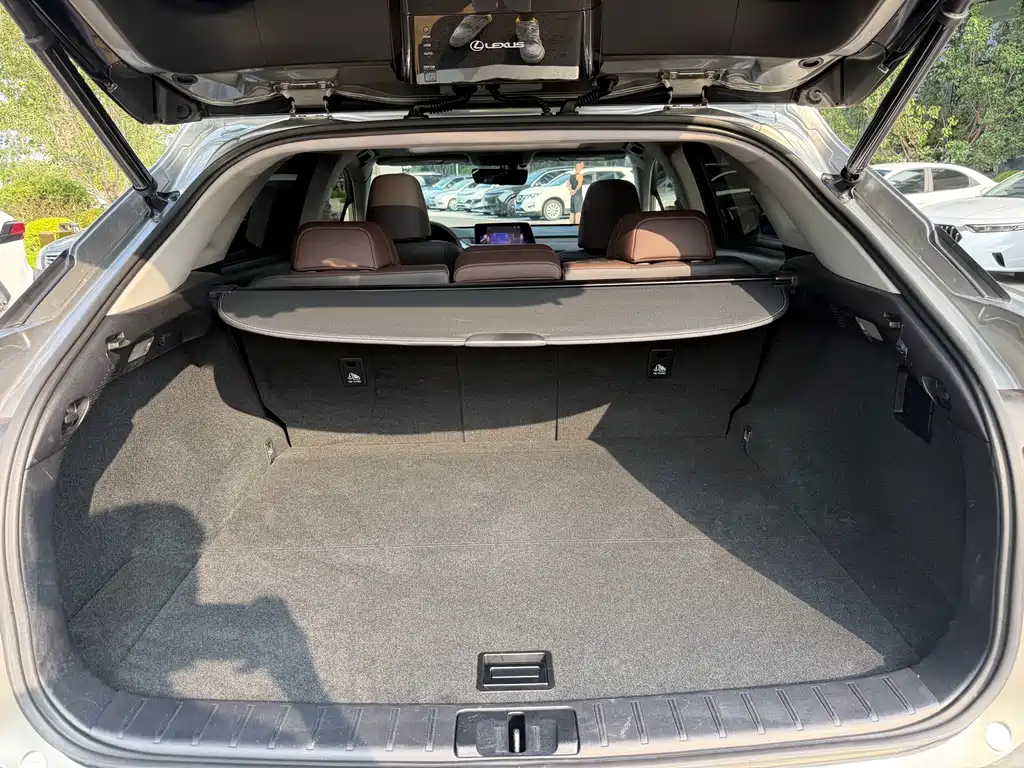 Lexus RX — фото 15